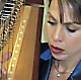Harpist at RSI Party
